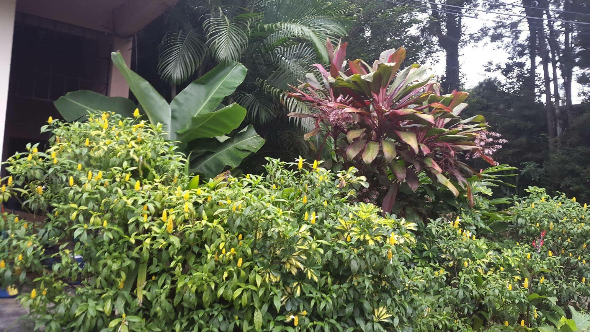 Hotel Dream House Escazu San Jose  Exterior foto
